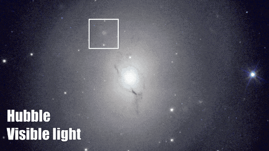 This animated GIF shows the region of the sky where the gravitational waves and gamma-ray burst were detected as seen by Hubble in visible light and Chandra in X-ray light, fading between the two. In visible light, there is a bright oval-shaped galaxy that takes up most of the image with a bright, white center region that fades into gray clouds around it. The site of the gamma-ray burst is outlined in a box, and shows a dim source in visible light about half way between the center of the galaxy and its edge. In X-ray light, the galaxy's center and a couple of other sources appear as dots encircled in blue. The galaxy itself does not show up in X-rays. The site of the gamma-ray burst is a bright blue source.