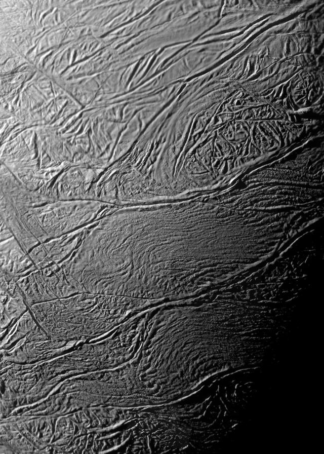 The Amazing Science Behind A Tigers Stripes - 4vhvzc0