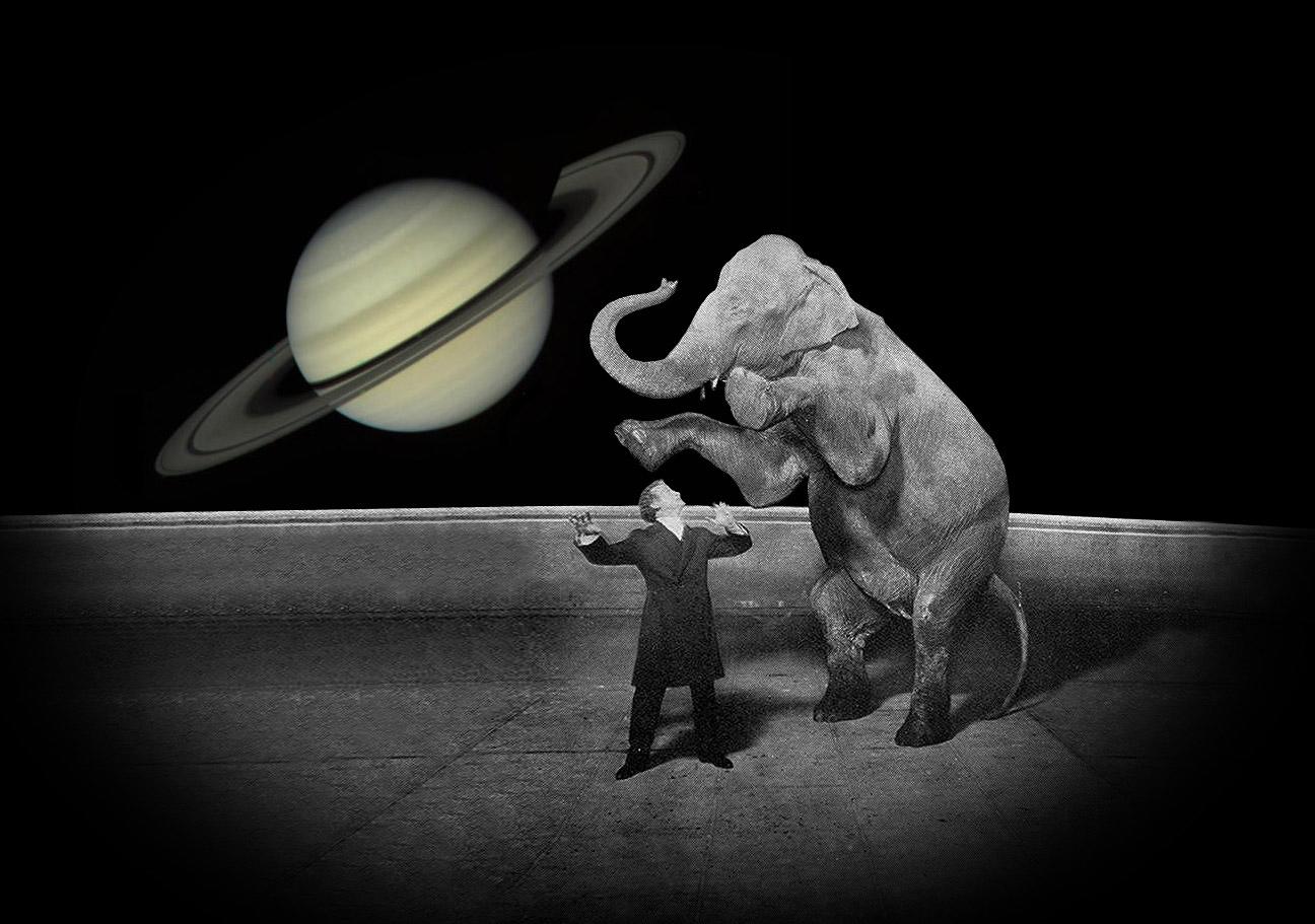 Houdini, Jennie the elephant and Saturn