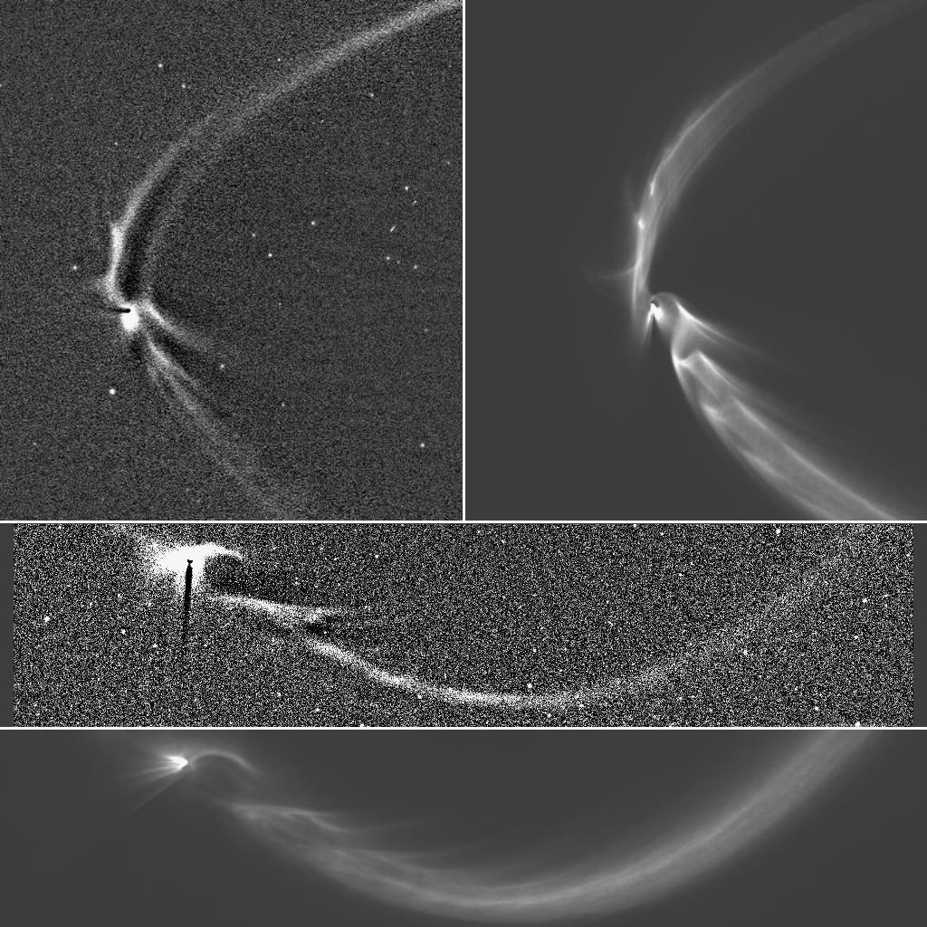 Long, sinuous, tendril-like features from Saturn's moon Enceladus