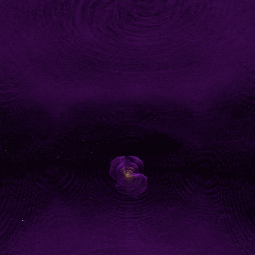 In this simulation, a pansy-shaped structure emits vertical and horizontal purple ripples. Yellow structures, making up the pansy’s center, surround each black hole and illustrate the strong curvature of space-time. The purple of the petals and the purple waves emanating outward represent gravitational waves.