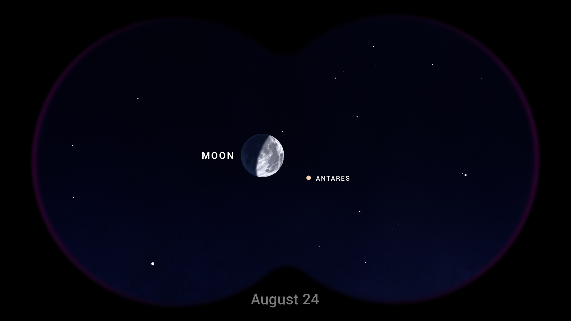 An illustrated sky chart shows a binocular view of the evening sky on August 24. The Moon is left of center, appearing a bit more than half full.Immediately to its right, the star Antares is depicted as a bright, reddish dot.