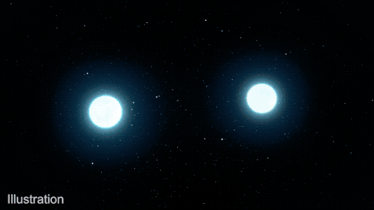 This animation shows what happened in the nine days after a neutron star merger detected in 2017. First, a pair of glowing blue neutron stars spiral quickly toward each other, merging with a bright flash. The merger creates gravitational waves (shown as pale arcs rippling outward), a near-light-speed jet that produced gamma rays (shown as brown cones and a rapidly traveling magenta glow erupting from the center of the collision), and a donut-shaped ring of expanding blue debris around the center of the explosion. A variety of colors represent the wavelengths of light produced by the kilonova, creating violet to blue-white to red bursts above and below the collision.