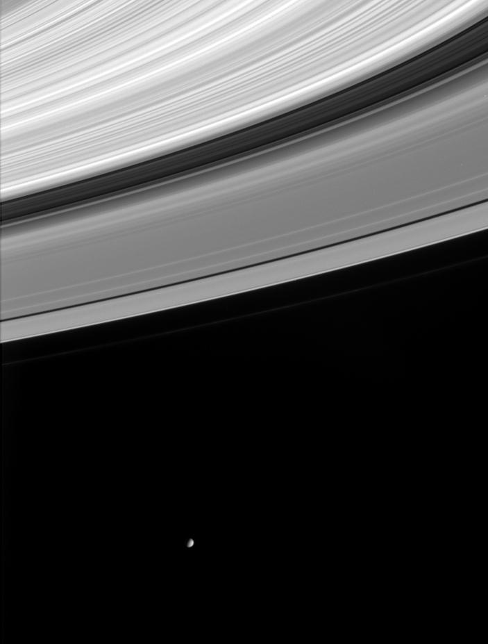 Mimas hovers below the wide expanse of Saturn's rings in this black and white image.