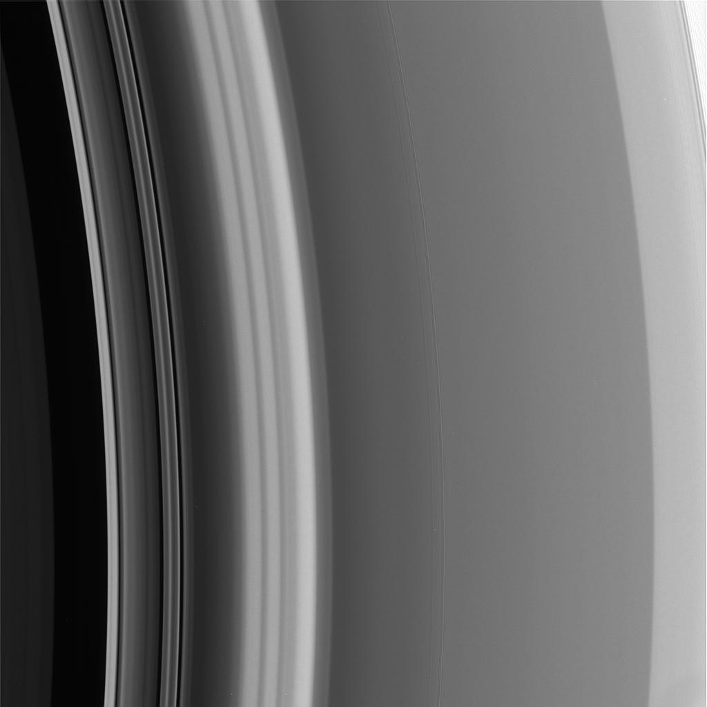 a closeup of the rings
