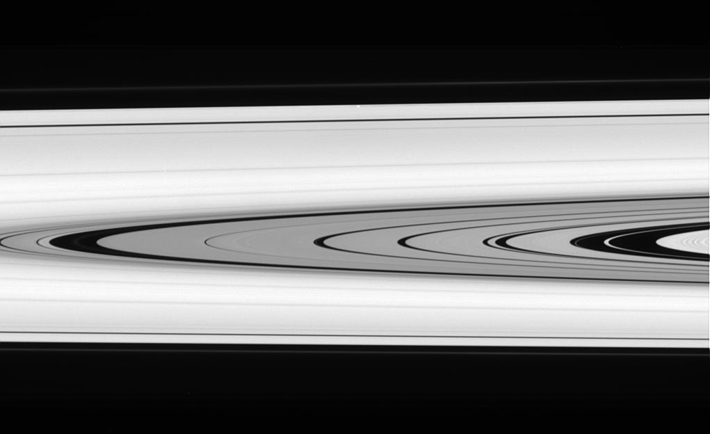 A detailed look at the faint rings within the Cassini Division