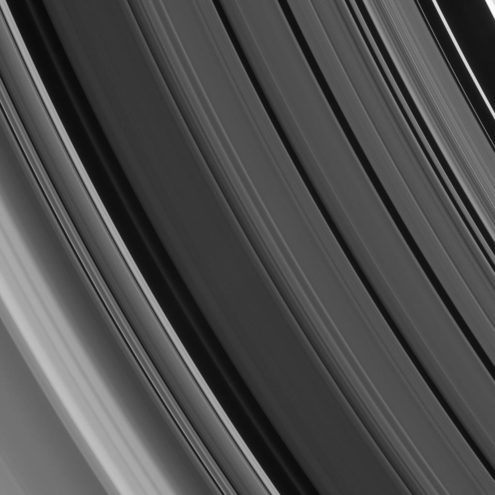 Sharp-edged details and smooth gradients in the ring features of the Cassini Division