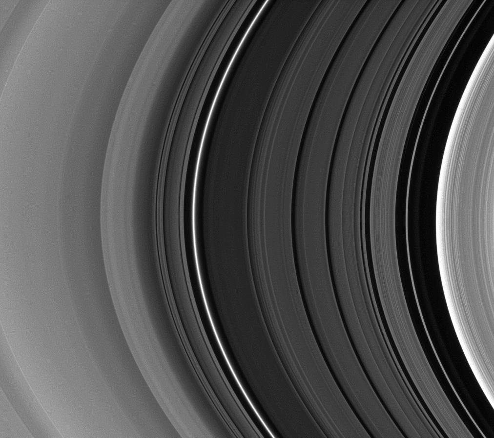 Light Shed on the Division NASA Science