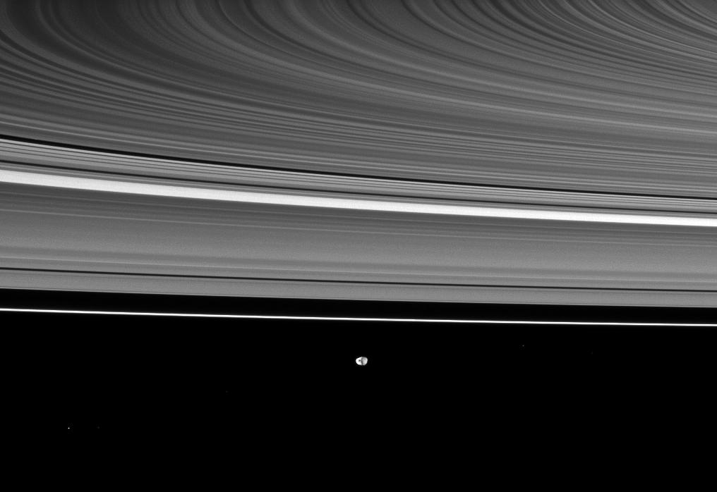 Saturn's rings appear curved in this Cassini spacecraft view, which also shows the moon Janus in the distance.