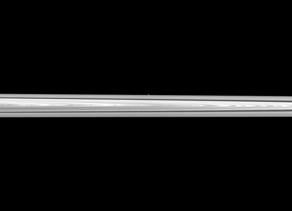 The Cassini spacecraft looks past Saturn's main rings to spy the tiny moon Atlas, which orbits between the main rings and the thin F ring.