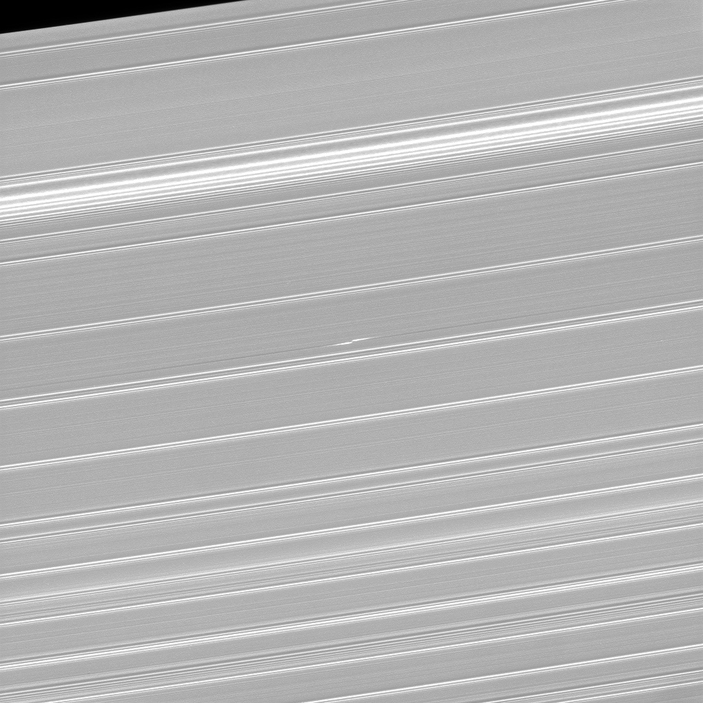 Black and white image of propeller-like structure in Saturn's rings.