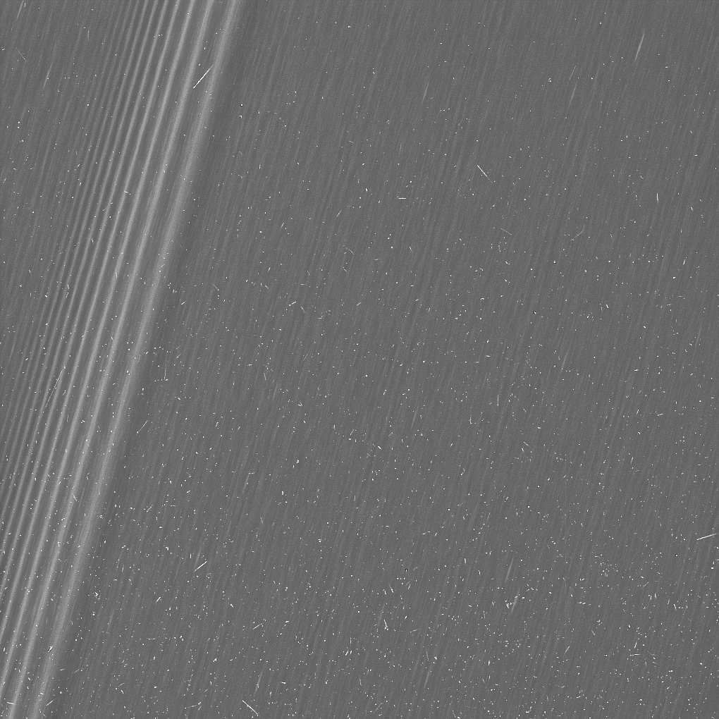 Black and white image of Saturn's rings showing small tiny ring propeller-like features.