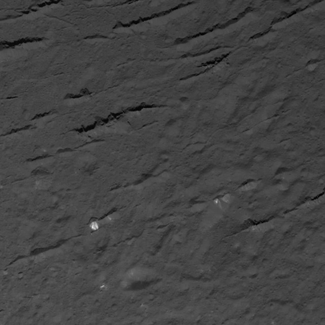 Fractures Across Occator Crater's Floor - NASA Science