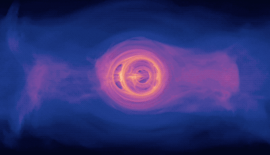 This animated GIF shows what we might see if we looked at two black holes through the disk of gas that is swirling around them. The gas is bright orange close to the black holes and fades out to shades of purple farther out. As the animation proceeds, one black hole moves in front of the other, from our point of view. When one black hole is in front of the other, the orange light is magnified in an arc that then encircles the black hole. These effects look like a fun house mirror.
