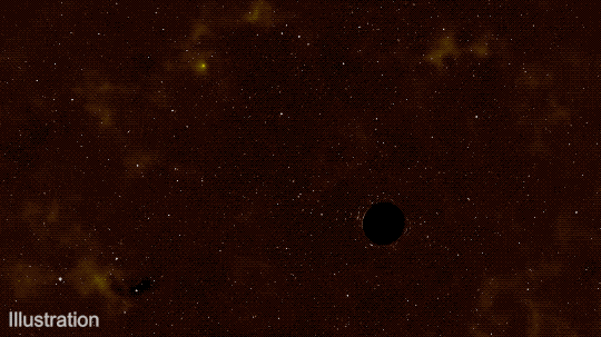 This animation opens with a starry background and a black circle in the lower right, representing a black hole. From the upper left a small yellow circle enters, representing a small star. The star’s path takes it close to the black circle. It then orbits the black hole, stretching out into a long, thin oval that turns into a stream of patchy gas. One end of the line of gas extends off the screen, dissipating. The other end continues to circle the black hole forming a bright yellow disk. The animation is watermarked: “Illustration.”