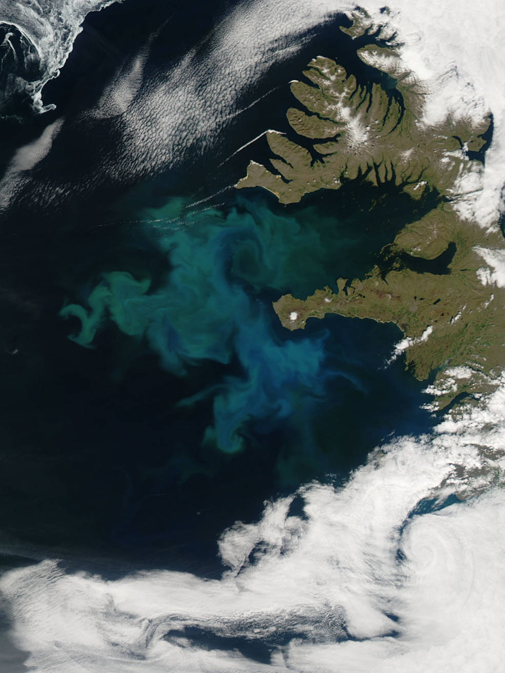 Satellite view of phytoplankton bloom