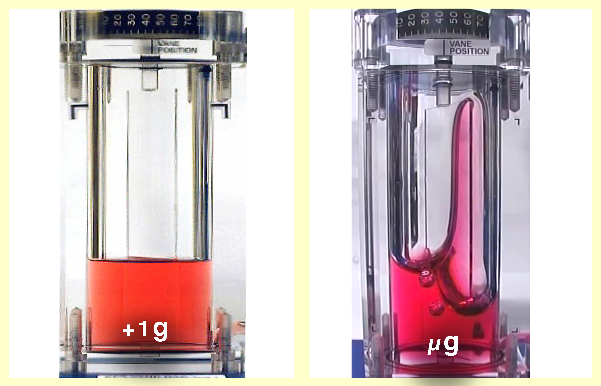 Two images showing how fluid in "vanes" work in microgravity with red and pink tubes.