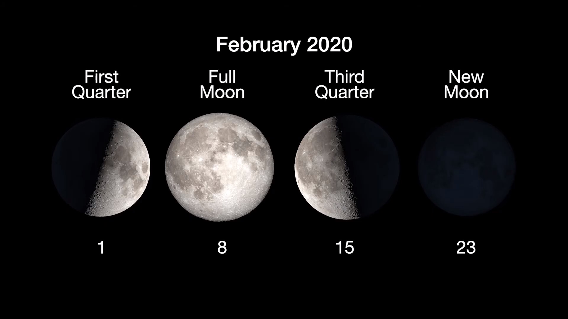 chart showing changing phases of the moon, full on Feb 8, new on Feb 23