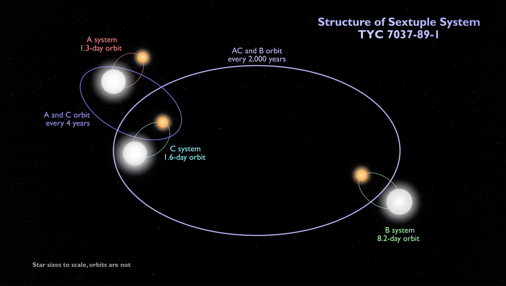 Discovery Alert: First Six-star System Where All Six Stars Undergo 