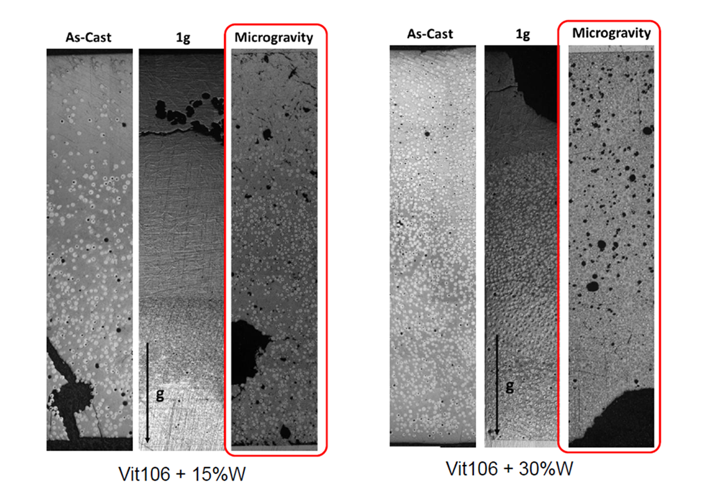 Microgravity samples have similar W distribution to as as-cast samples but much more porosity. Samples processed in 1g have the lowest porosity but also sedimentation of W and W2Zr phases. Experiment has worked as expected (except for the porosity). These images give us some information about manufacturing metal alloys in space.