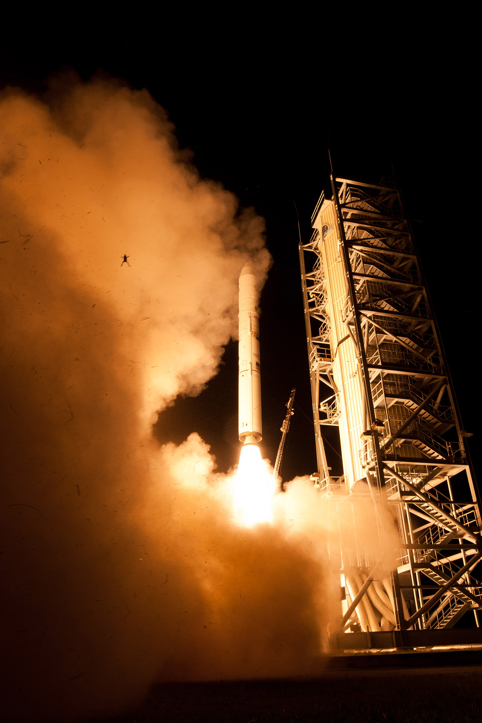 LADEE Frog Photobomb