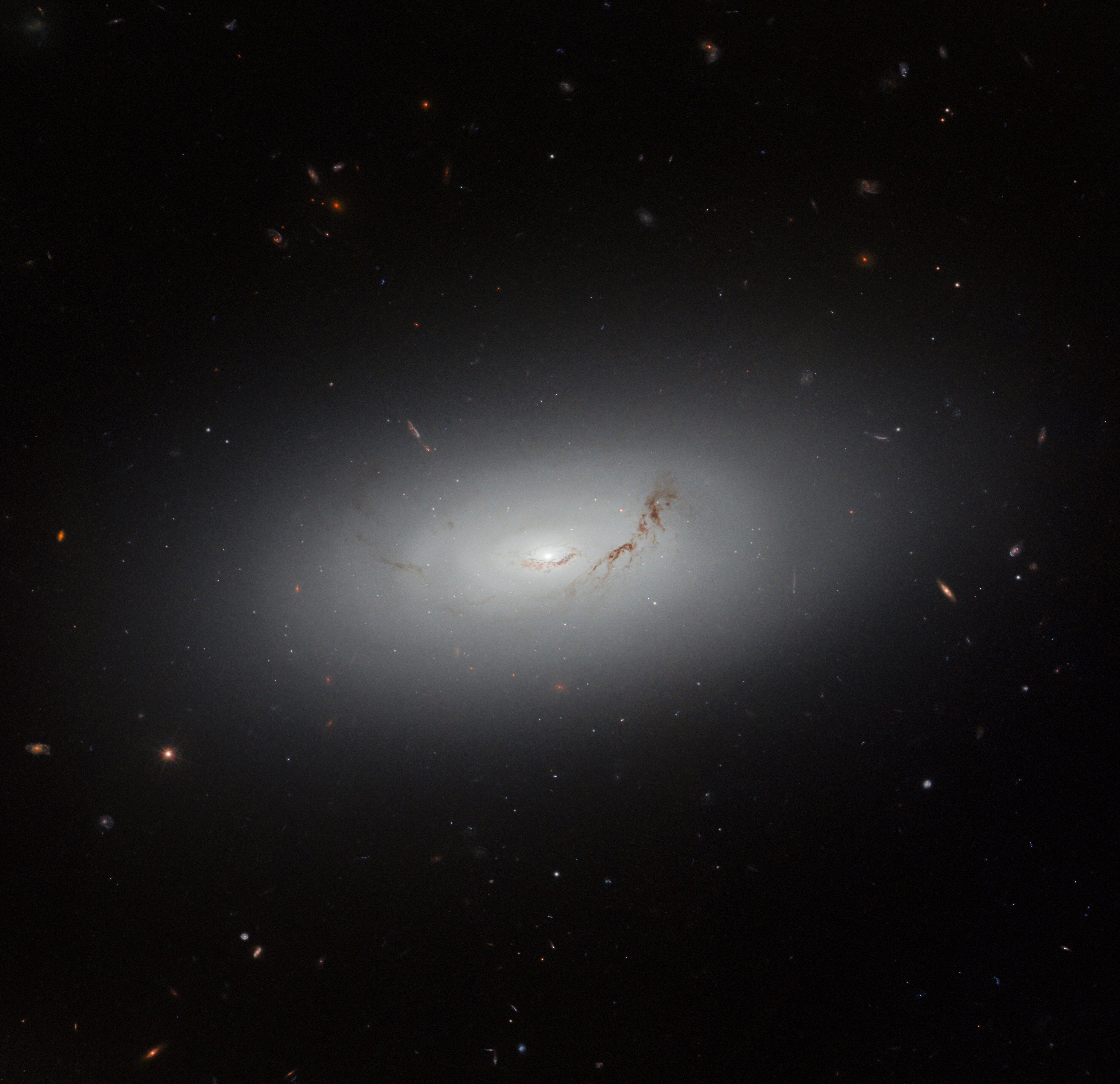 Hubble Spots a Dreamy Galaxy - NASA Science