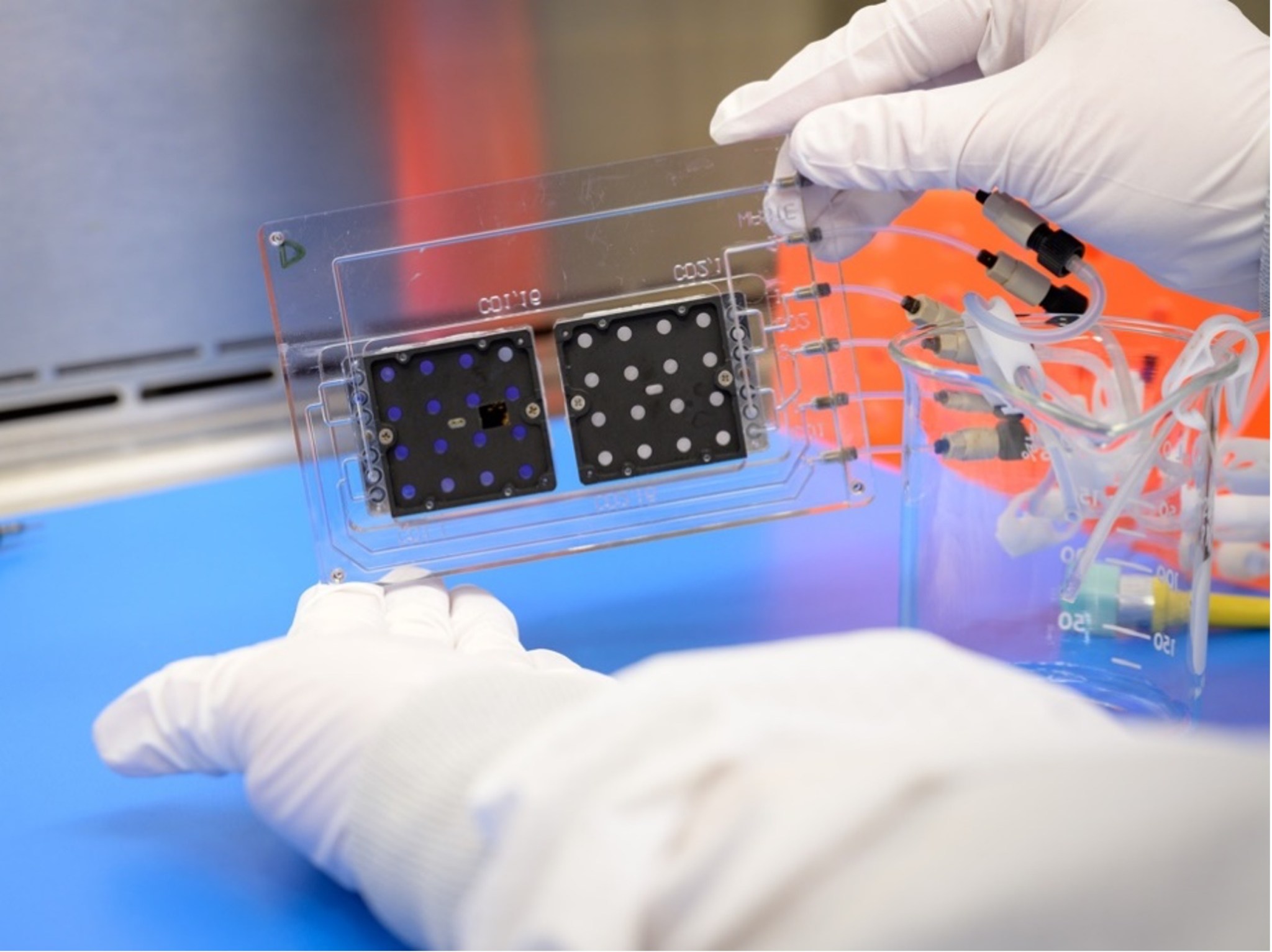 Pair of gloved hands holding a rectangular clear manifold containing two black square fluidic cards. Tubes filled with blue dye are connected to the manifold.