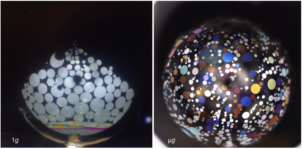The Observation and Analysis of Smectic Islands in Space (OASIS) experiment examines the behavior of liquid crystals in microgravity. Specifically observing the overall motion and merging of microscopic layers that form "smectic islands" on the surface of bubbles. Results on earth seen on the left and results in microgravity seen on the right.