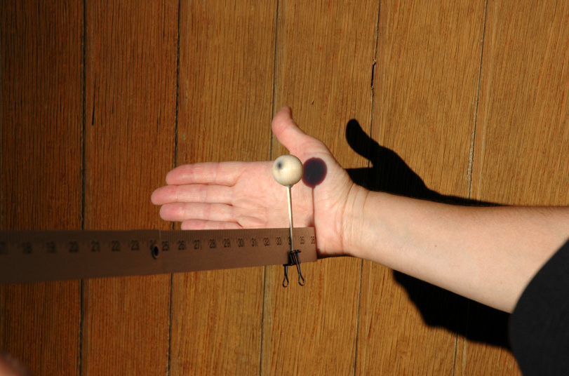 A photograph of the experimentaal setup: a meter stick coming into the frame from the left and an arm coming in from the right. There is a ball on a stick attached to the end of the meter stick. There is an implied light source coming from the left causing the ball's shadow to show on the persn's hand. The shadow of the person's arm and hand shows on a wall.