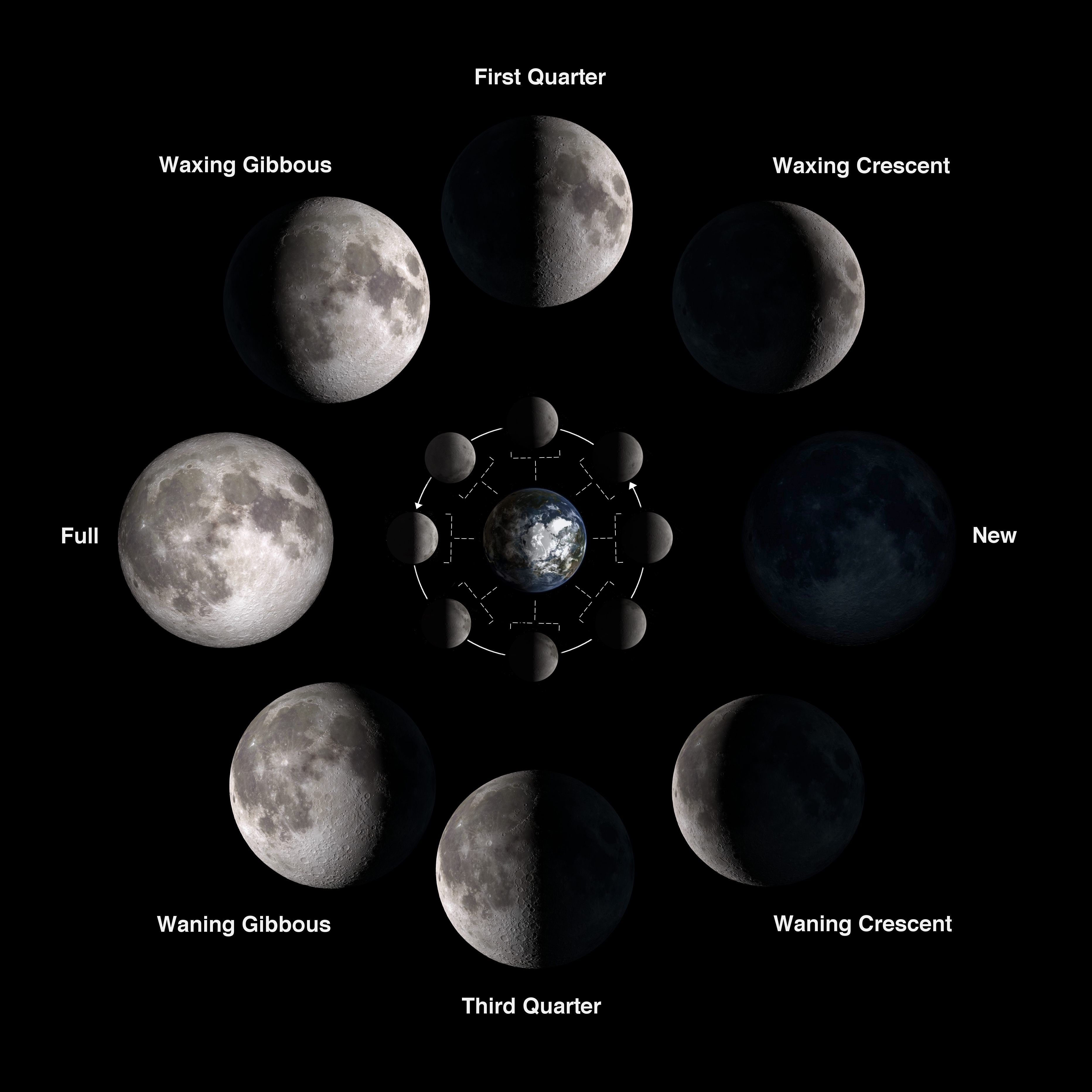 Chart showing phases of the Moon.