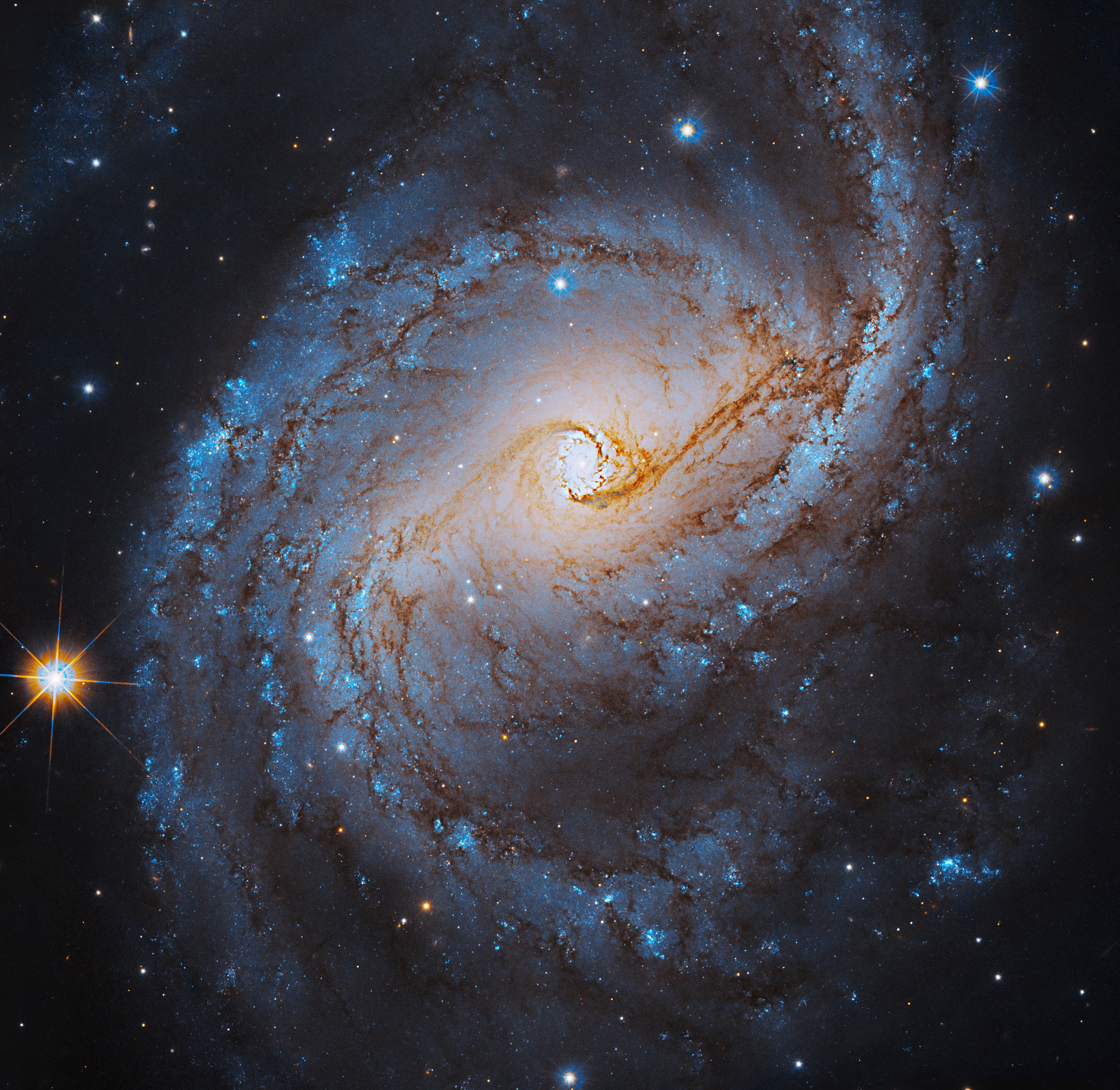 Hubble Social Media - NASA Science