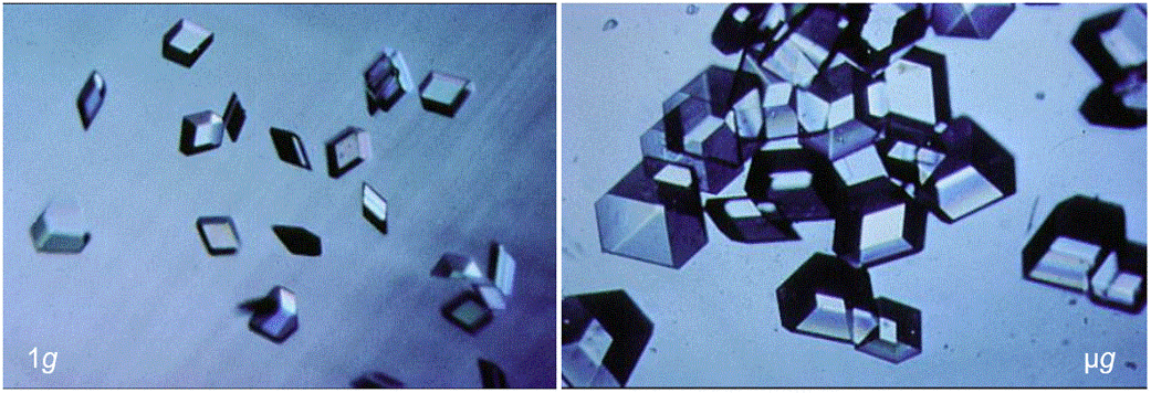 Images of human insulin crystals grown in 1-g (left) and microgravity (right). Crystals grown in microgravity are larger and of higher resolution.