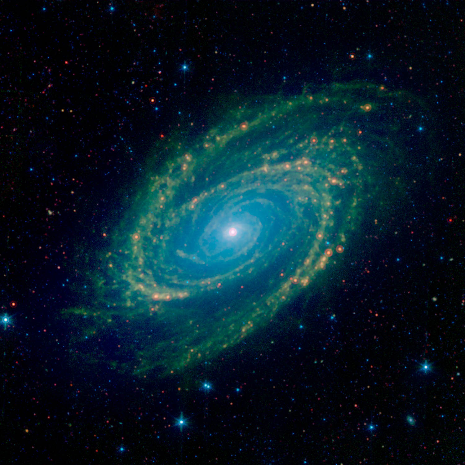 An Infrared View of the M81 Galaxy