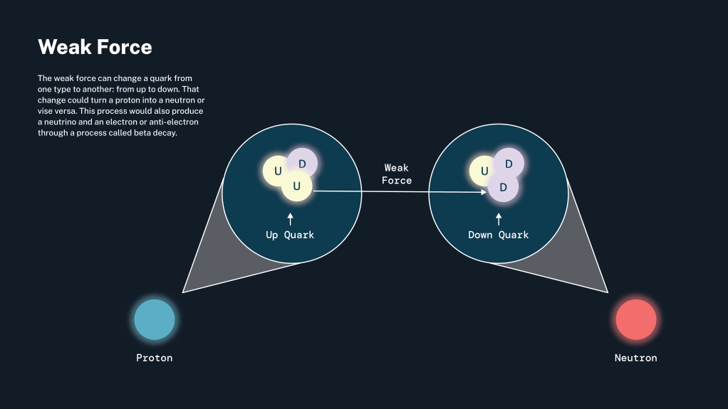 This illustration explains the weak force, one of the four fundamental forces in the universe.