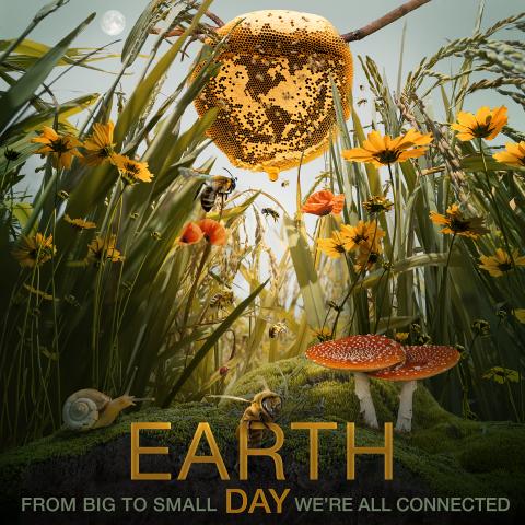 Earth Day 2021: Posters and Virtual Backgrounds