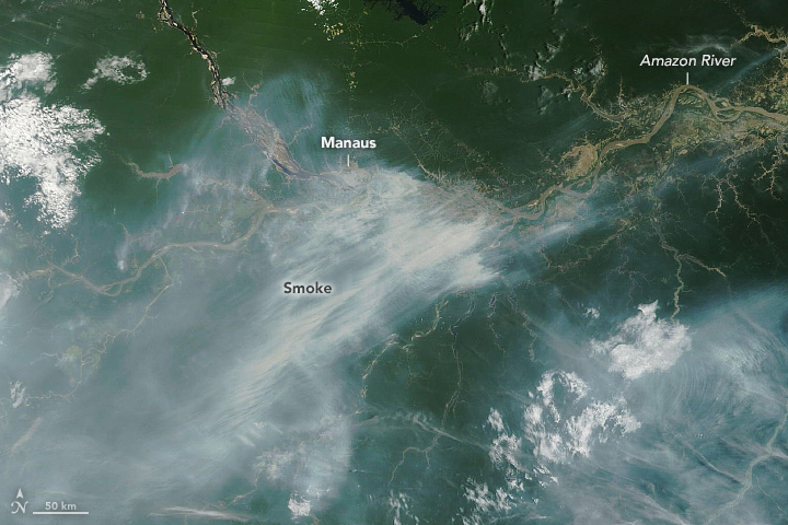 With an El Niño brewing in the Pacific, uncontrolled fires are burning beneath the canopy in some parts of the rainforest.