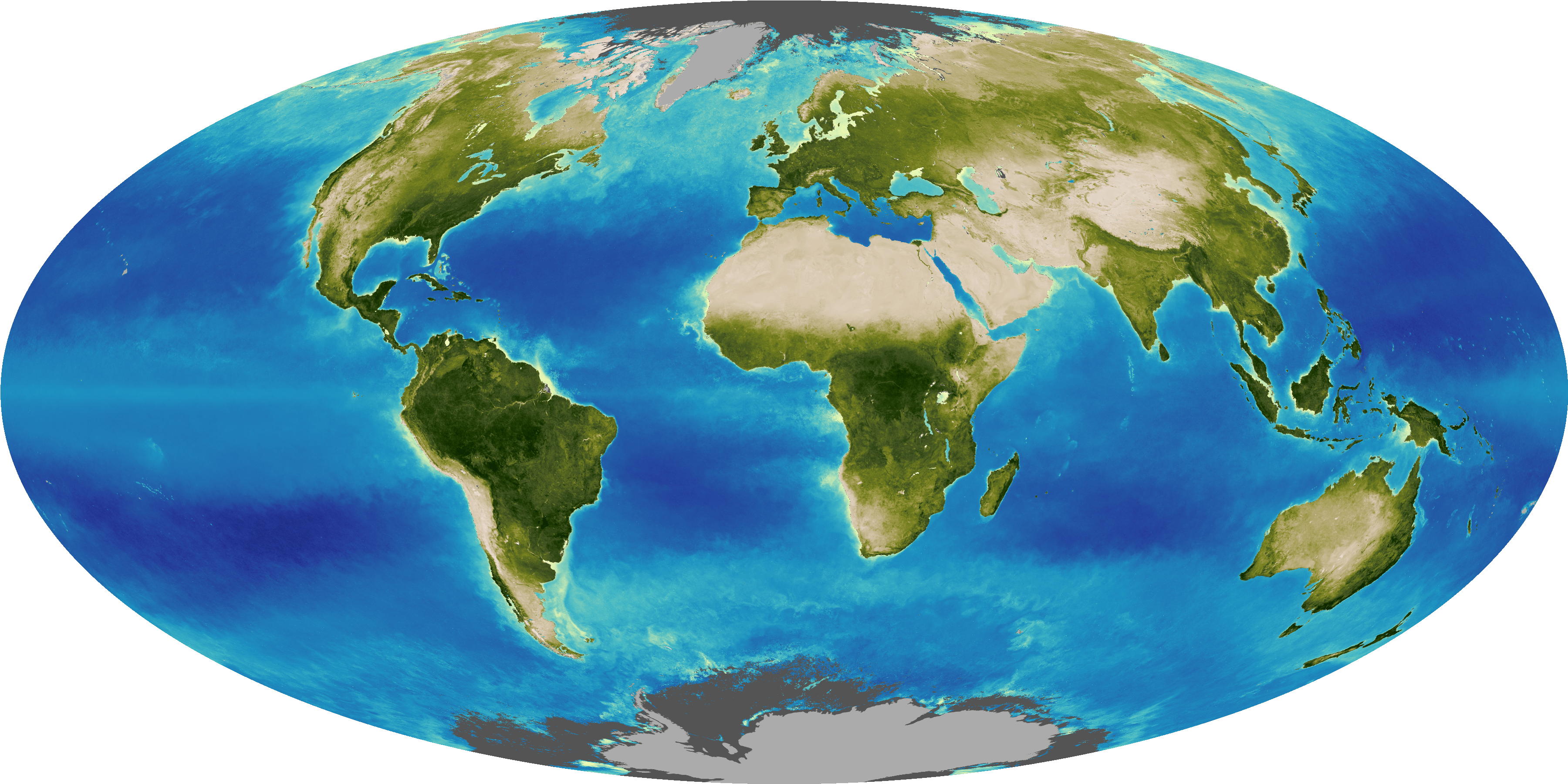 随着气候模式的变化，地球上陆地和海洋中植物的总数每年都会发生轻微变化。