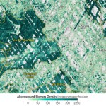 Indigenous people are protecting carbon-rich forests in South America, and satellites are helping.