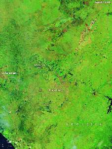 Dry conditions brought on by El Niño likely intensified the 2023 fire season, following several years of relative quiet.