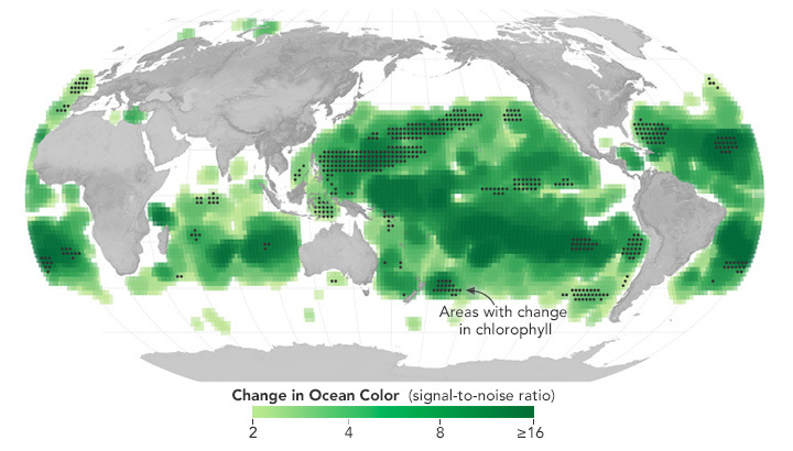 Two decades of satellite measurements show that the sea surface is shading toward green.
