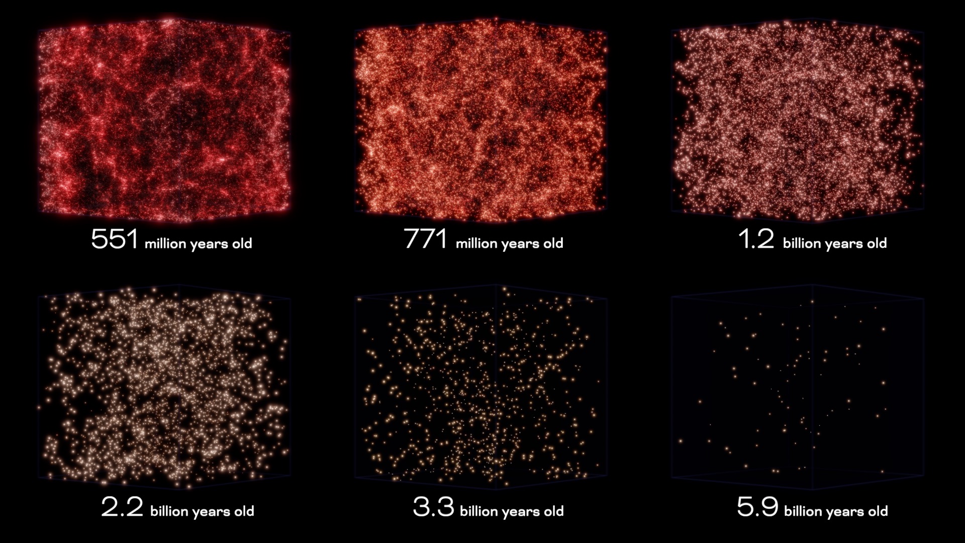Roman simulated distribution of galaxies