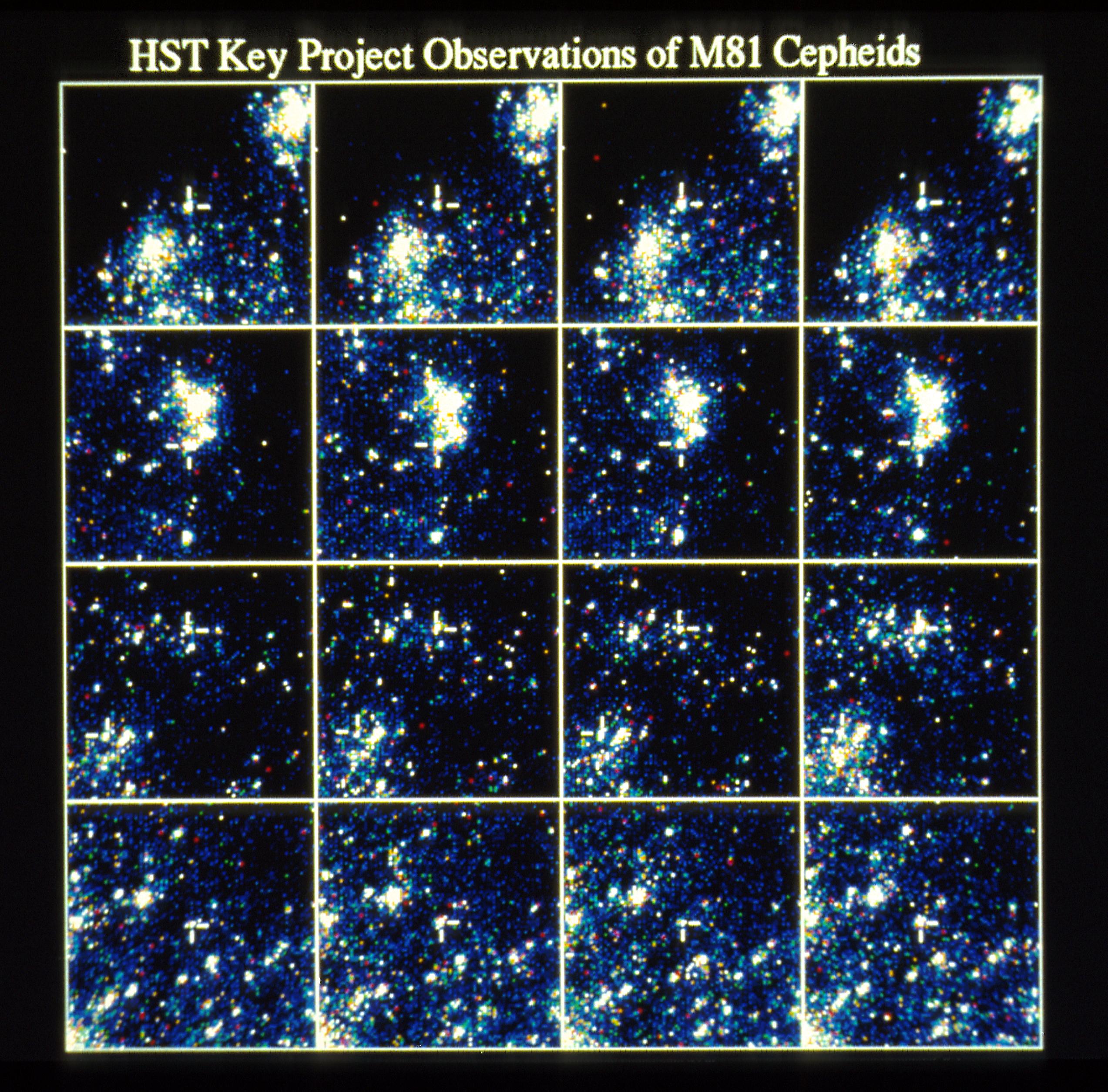 A grid of images, 4 columns and 4 rows. Each image holds clumps of bright-white and dots of green, blue, red, and yellow.