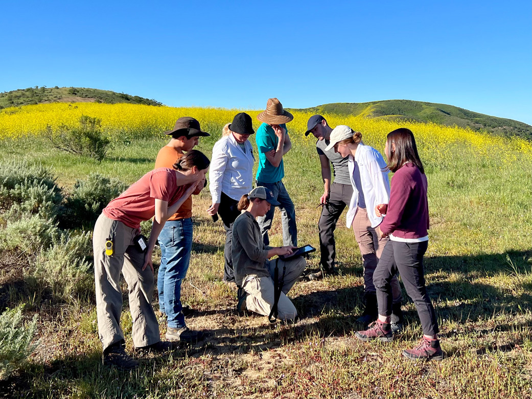 JPL scientist Dana Chadwick, center, advises a field team working on the SHIFT campaign on locations for collection and analysis of vegetation samples at the Jack and Laura Dangermond Preserve in March 2022. Credit: Piper Lovegreen/University of California, Santa Barbara