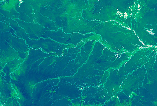 Two new spaceborne Earth-observing instruments will help scientists better understand how global forests and ecosystems are affected by changes in climate and land use change. This image of the Amazon rainforest is from a 2010 global map of the height of the world’s forests based on multiple satellite datasets. Credit: NASA Earth Observatory