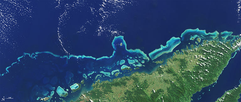 Coral reefs at Vanua Levu, Fiji