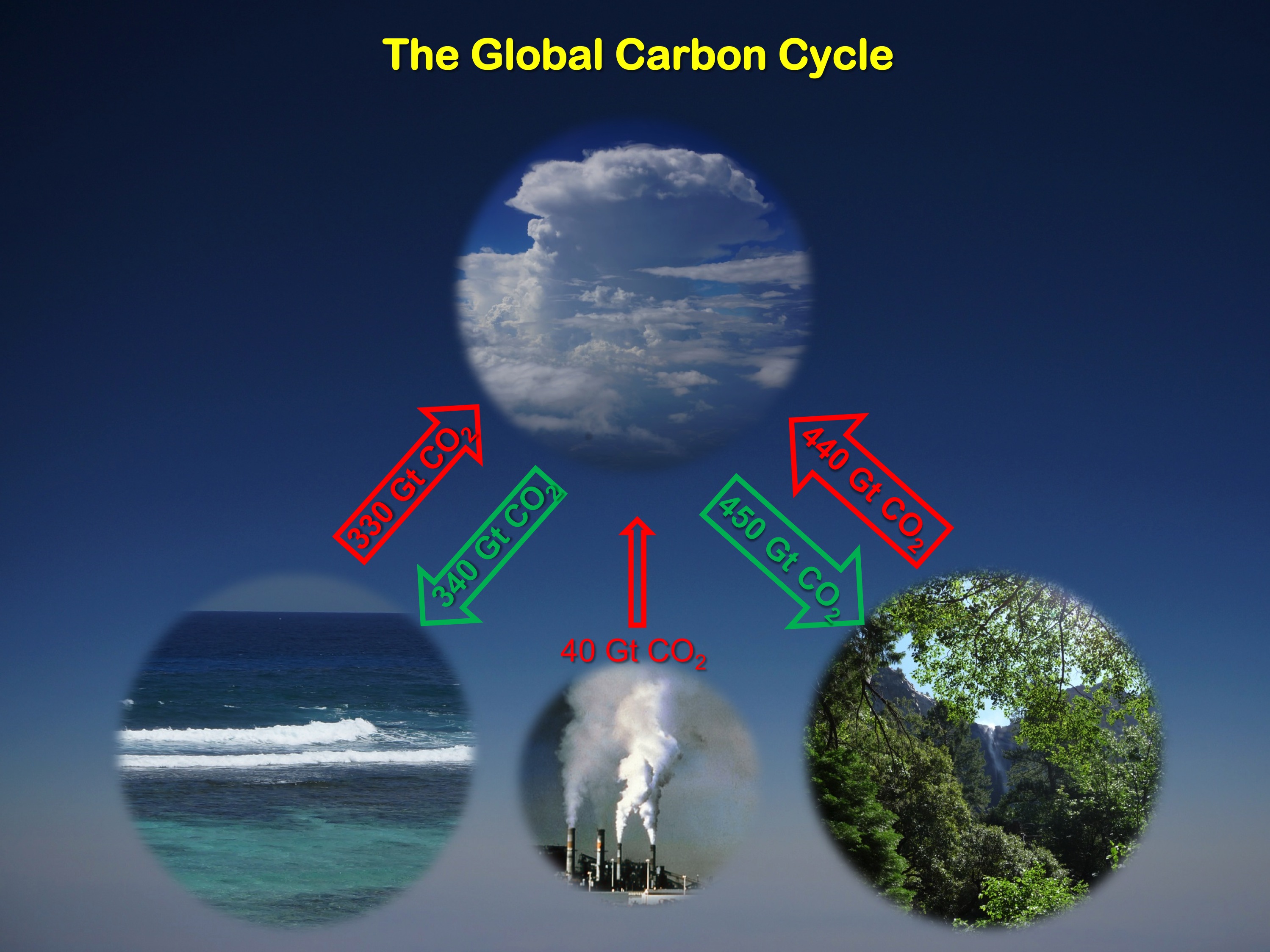 The ocean and land have continued to, over time, absorb about half of all carbon dioxide emissions.