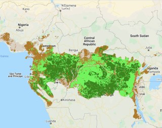 Mapping Tropical Forest Health with NASA Satellite Data