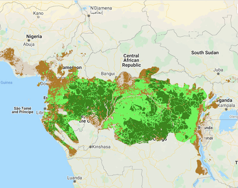 Map of tropical forest quality