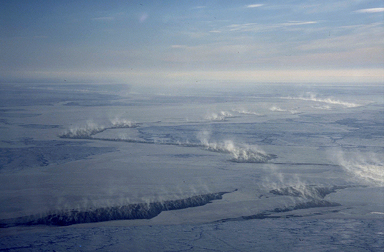 
			Cracked sea ice stirs up Arctic mercury concern - NASA Science			