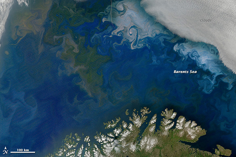 Phytoplankton blooms in the Barents Sea off the coast of Norway and Russia, shown in natural color from NASA's Aqua satellite on July 10, 2014. Without sampling the water directly it's impossible to know the type of phytoplankton, but past analyses suggest that the green bloom is diatoms and the white bloom is coccolithophores. Credit: NASA's Earth Observatory. View larger image.